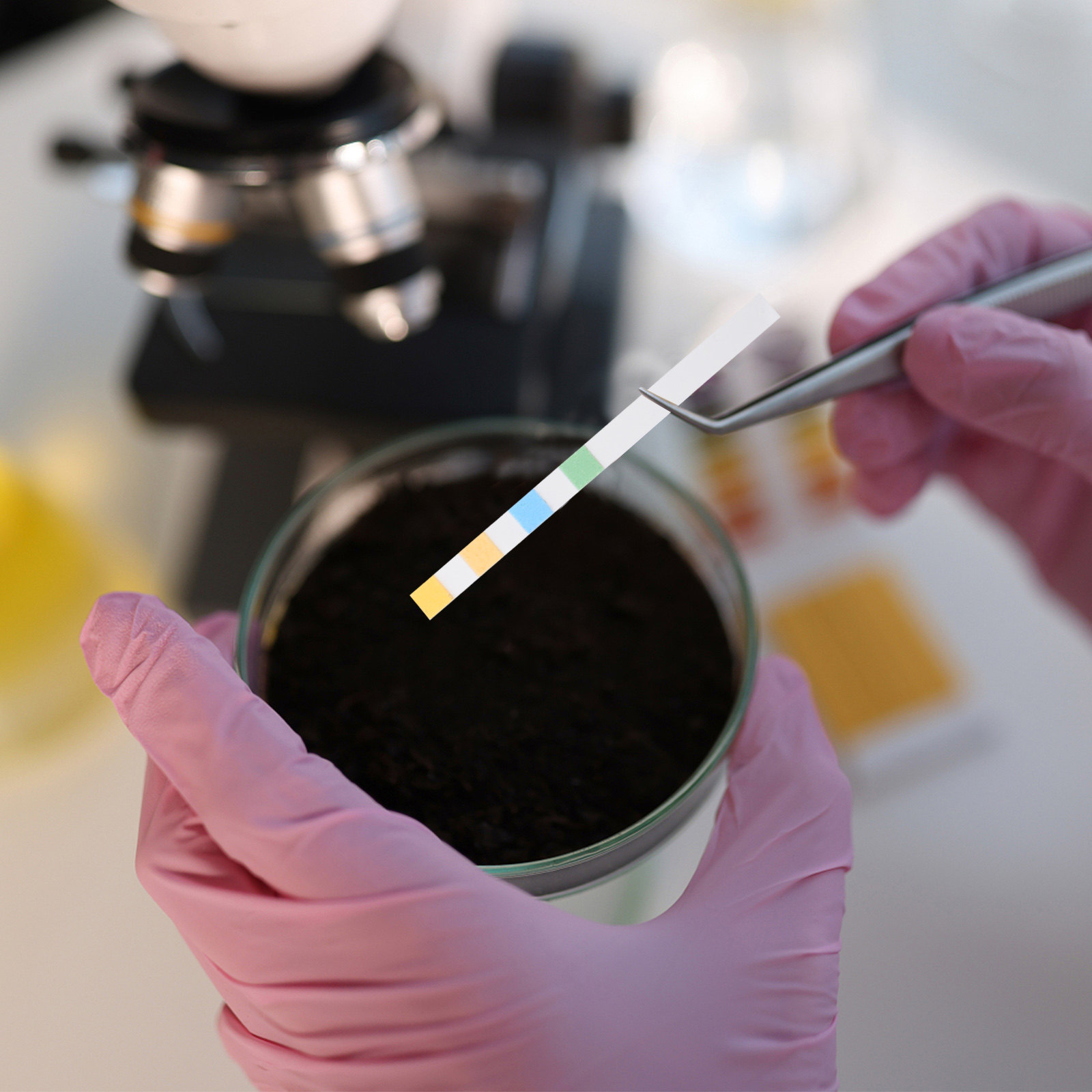 Ph Strip Test - 100 bandelettes de test de pH