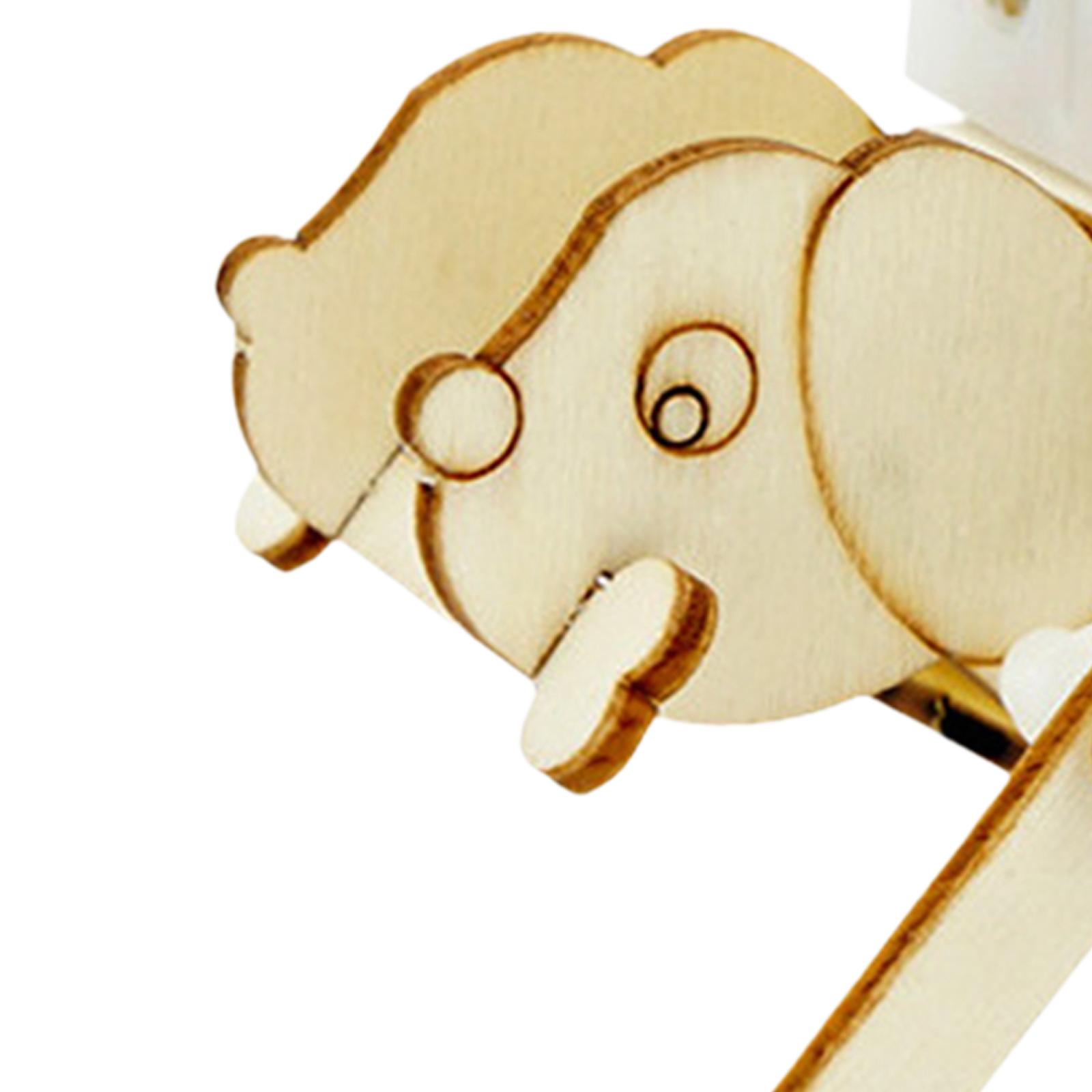 Science Project Toys Making - Kit scientifique de modèles en bois