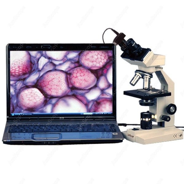 Amscope Microscope Compound 40X-1000X - Microscope composé biologique binoculaire série AmScope