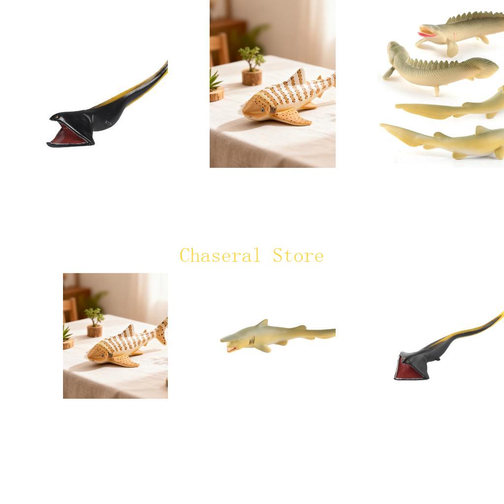 Jouet poisson E7CE, Animal Mor - Science Exhibition Models avis et prix