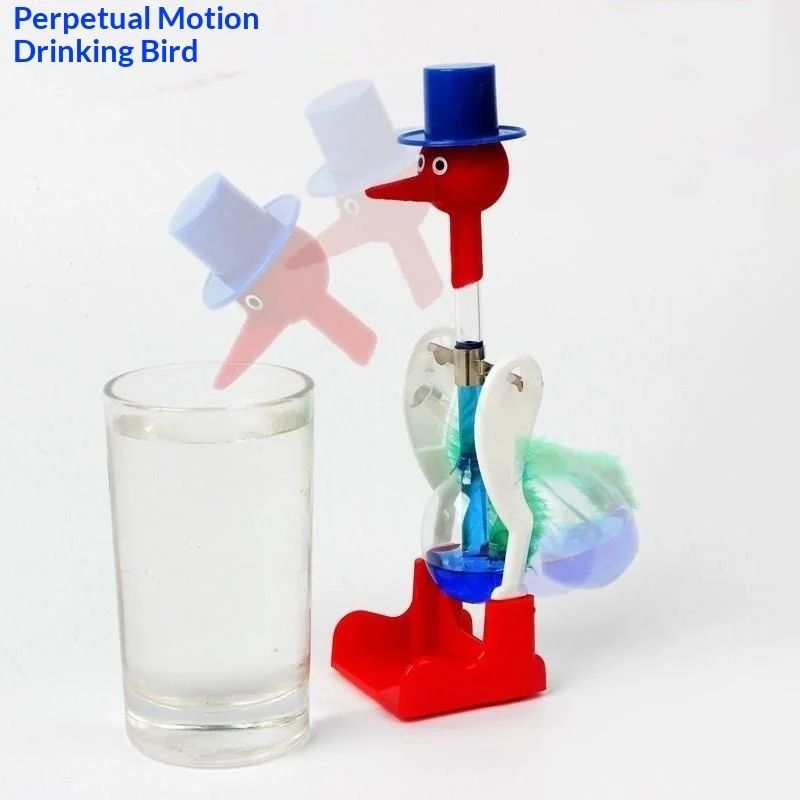 Oiseau buvant à mouvement cont - Science Bob avis et prix