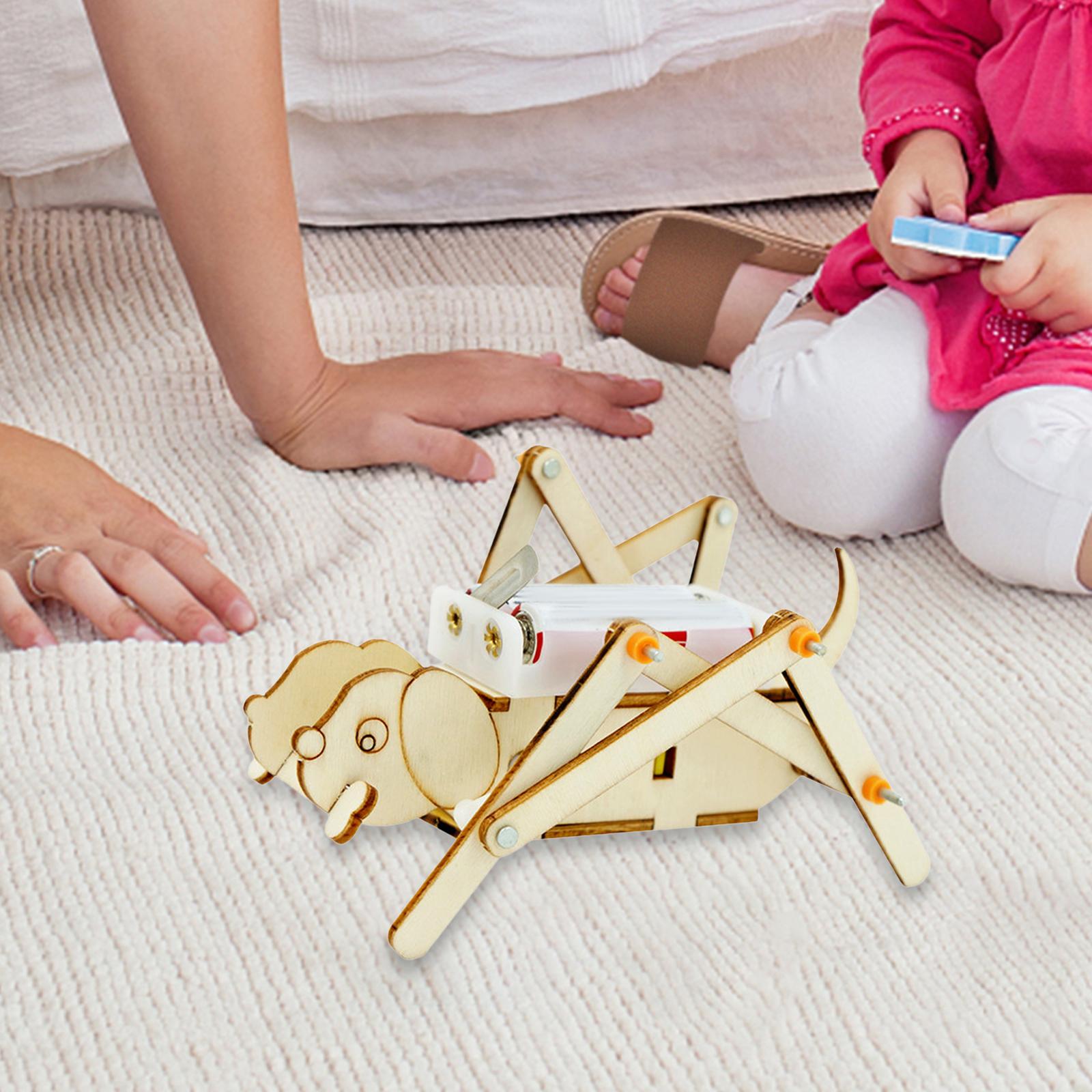 Kit scientifique de modèles en - Science Project Toys Making avis et prix