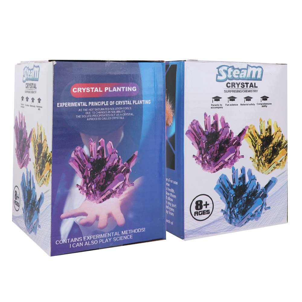 Kit scientifique de culture de - Science Project Diy avis et prix