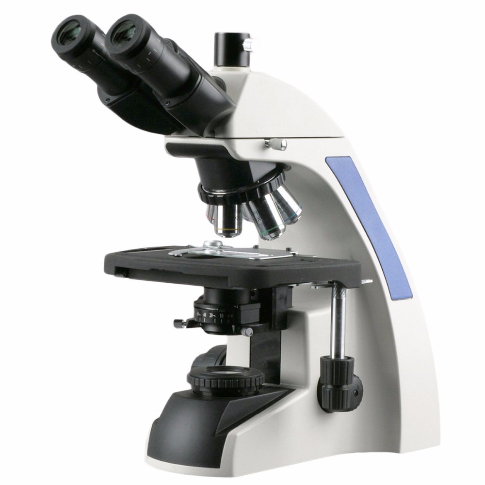 Microscope composé trinoculair - Amscope Microscope Compound 40X-1000X avis et prix