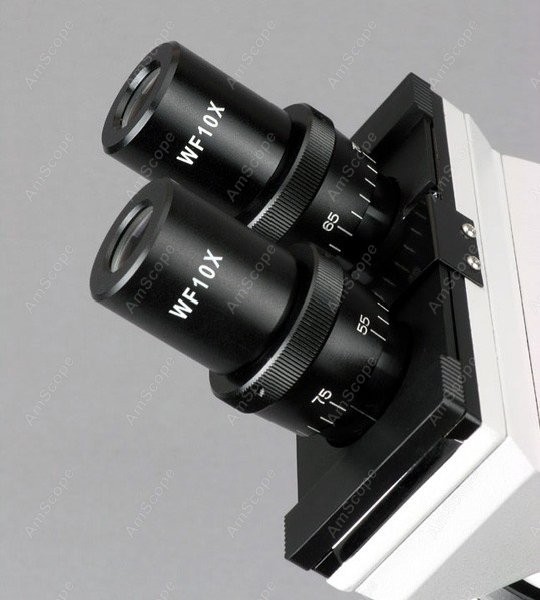 Microscope composé biologique  - Amscope Microscope Compound 40X-1000X avis et prix