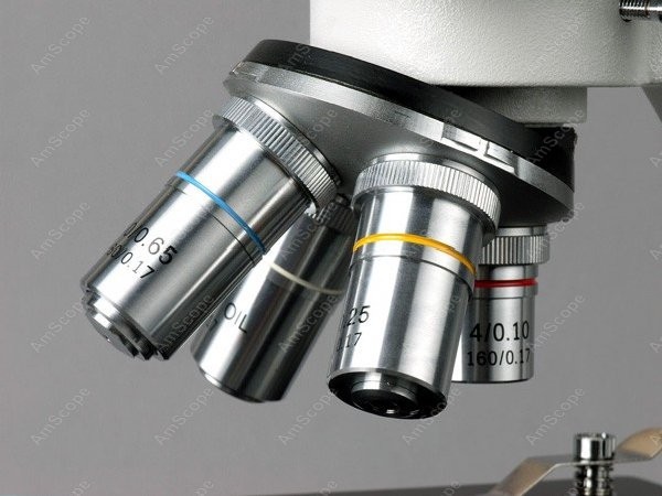 Microscope composé biologique  - Amscope Microscope Compound 40X-1000X avis et prix