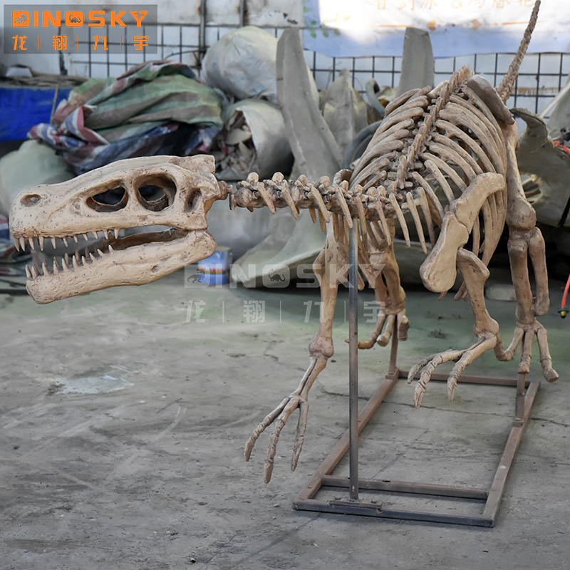 Modèle de dinosaure squelette  - Science Exhibition Models avis et prix
